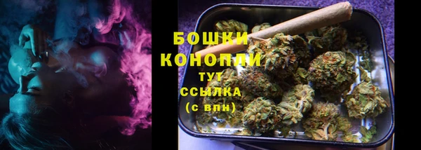 гидра Пересвет